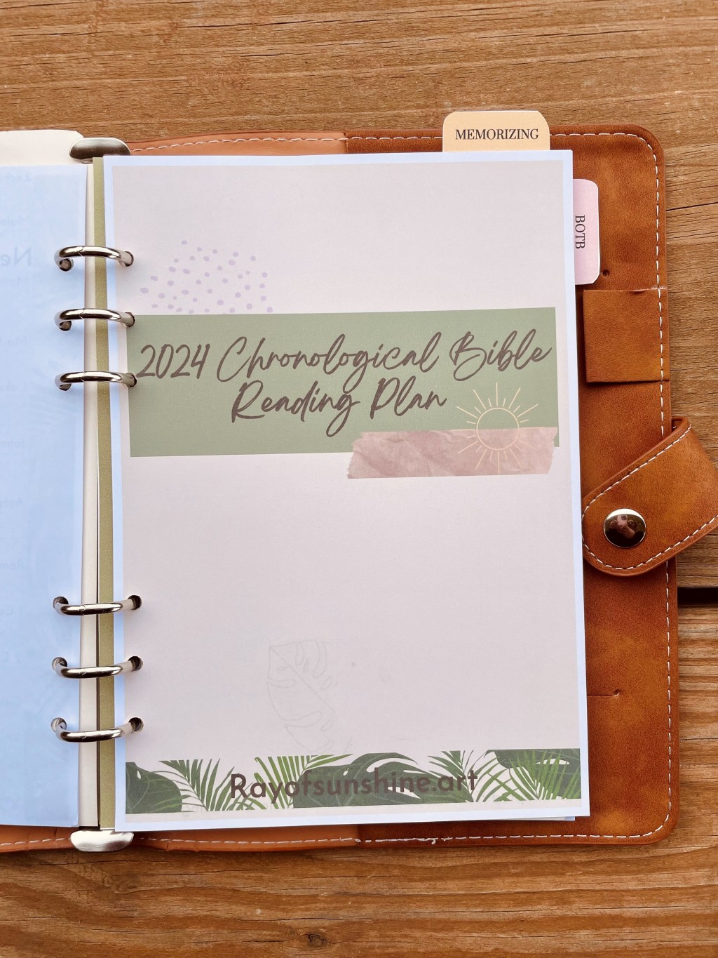 2024 Chronological Bible Reading&nbsp;Plan