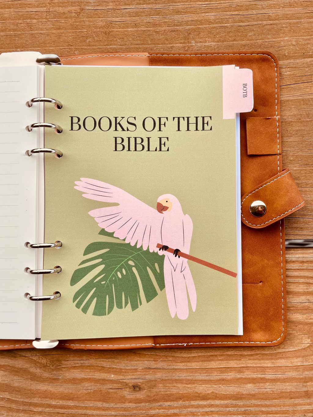 BB: Books of the&nbsp;Bible