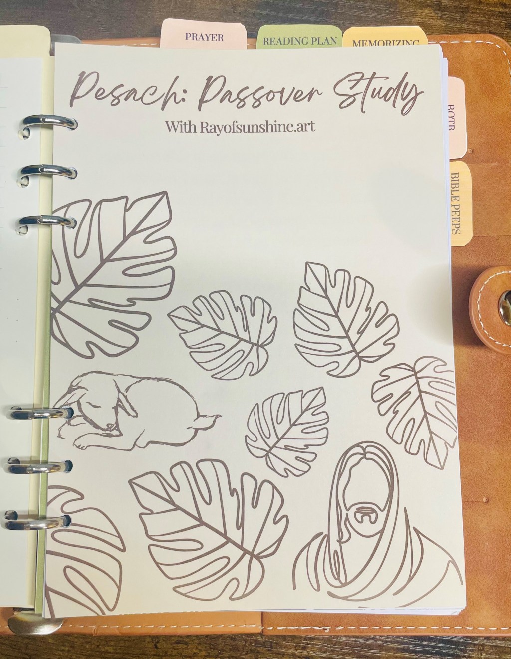 Pesach: Passover, A Free&nbsp;Study!