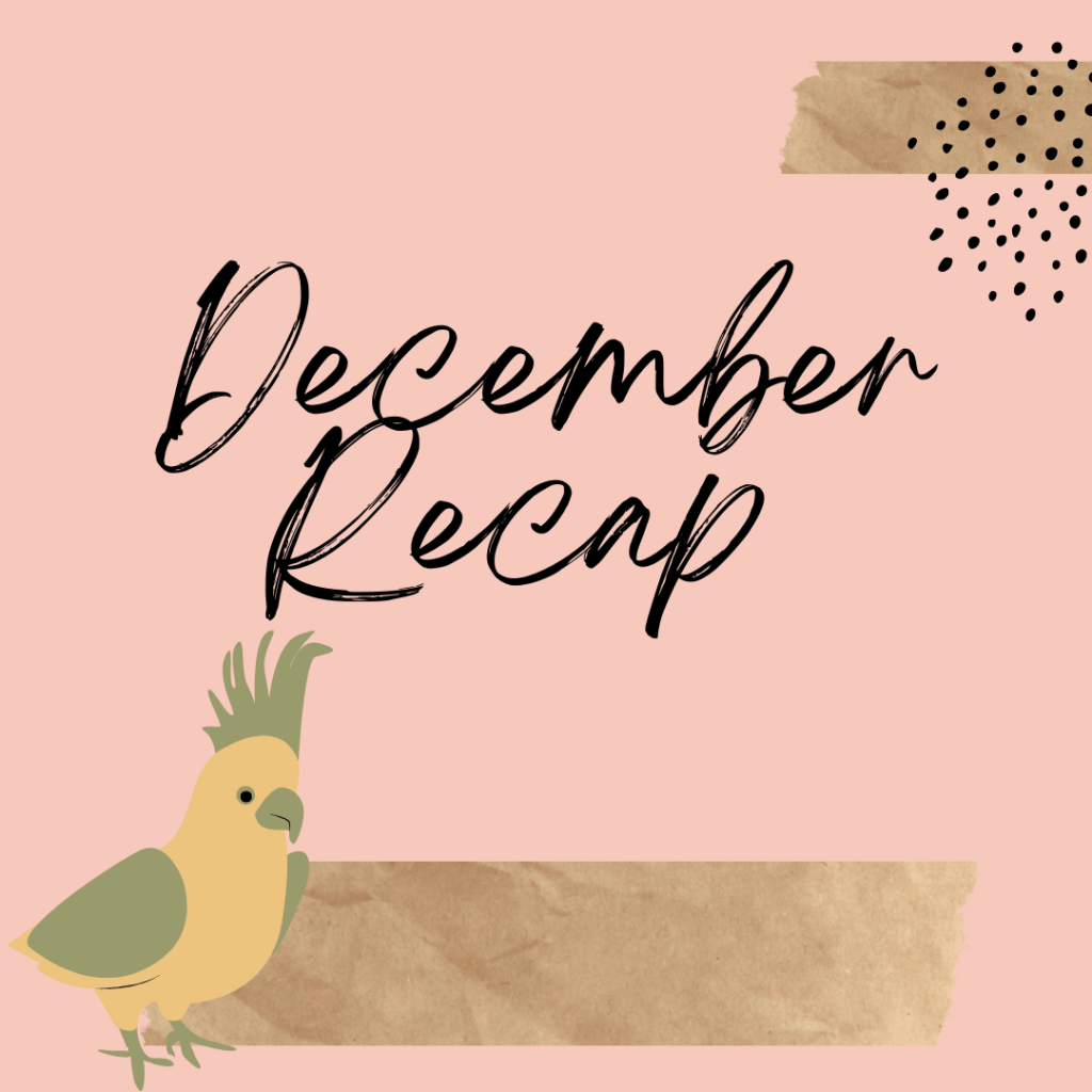 CBRP24 December Recap