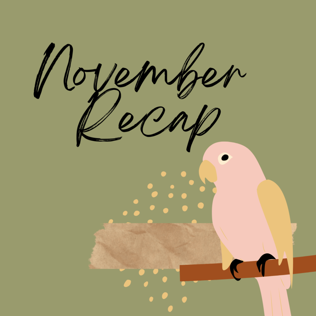 CBRP24: November Recap