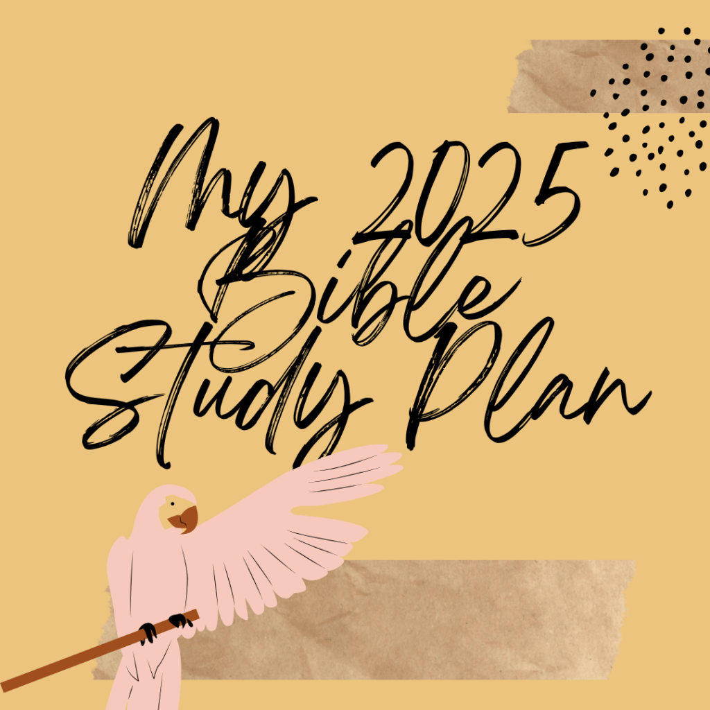 My 2025 Bible Study&nbsp;Plan